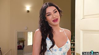 Latina tranny Andylynn Payne consoling herself on the neigbors big dick