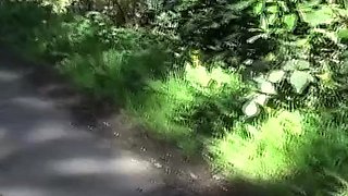 Blonde youngsters Foot Fetish