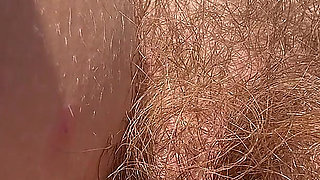 Sunrise Hairy Bush and Cigars Tanning in the Garden