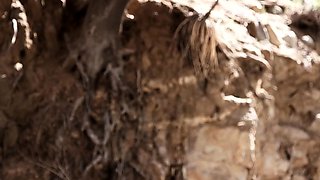 Hot Black Maid Does Some Webcam Black and Ebony