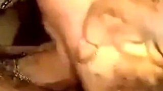 Blowjob and Doggy Anal Creampie for African Dirty Slut...