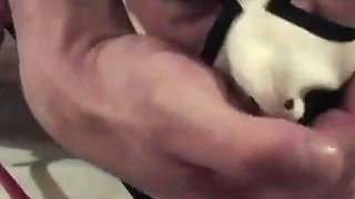 MILF Compilation of Frontal Sex