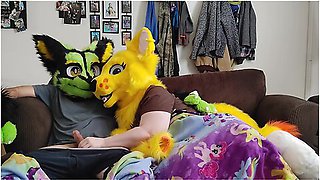 Sexy Furry Movie Night