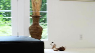 Anal Interracial Sex Starring Deep Throat Blowjob Babes