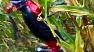 Pussy licking in gas mask humiliating