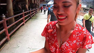 Feeding elephants and sex at home after with big ass Thai GF