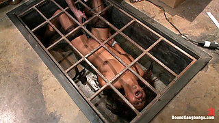 The Customer Is Always Right