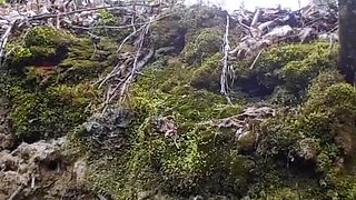 Public Masturbation In The Forest! Horny Milf Has Long, Wet