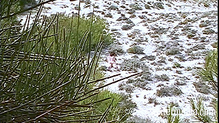 Sexy MILF Naked on the Nudist Beach