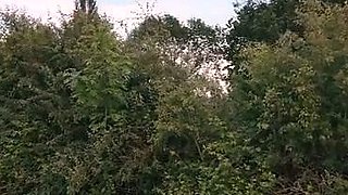 Blackmagicmodel A Party Stud Fucked With Multiple Women In