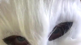 Today I'm a Naughty Kitten Who Wants Milk