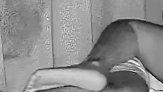 Secret Sex with Tution Master