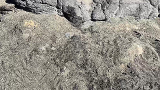 Risky Beach Pee Compilation