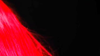 ASMR KittyKlaw lewd Demon Ear Licking Patreon Video