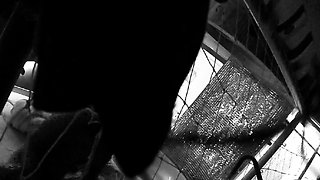 Amateur Hidden Cams Reveal Cock Riding Hoes