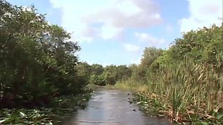 Wild Passion in the Everglades with Sticky Encounters