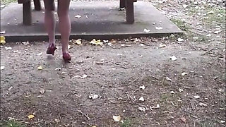 2026 Noemie 6 Compilations