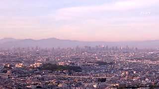 446-season-ending-who-pzz