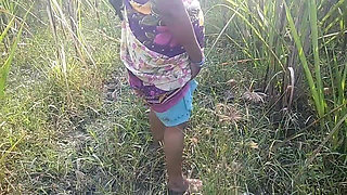 Indian Desi Porn Scene in Sugarcane Garden