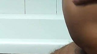 Swallow in the Shower