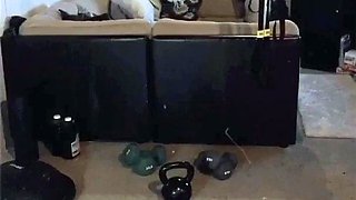 Amateur Webcam Cute Teen Plays Solo with Big Dildo