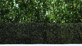 Brunette Solo Webcam Masturbation