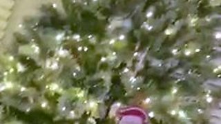 Amateur webcam babe dildo masturbation