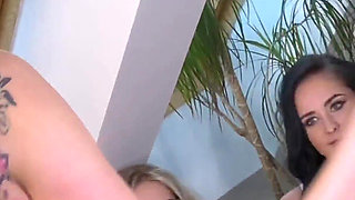 Four hot girls having fun in front of the camera