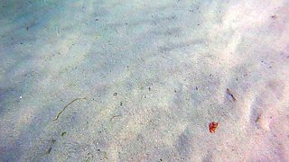 The most erotic cunt masturbation