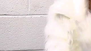 Redhead MILF Thief Likes It Rough