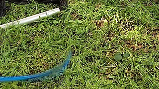 Latex Mistress BDSM Submission Seduction