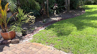 Jmac Fucks Latina Babe Gigi Lysette in Poolside Fuck Session