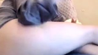amateur vip ass masturbating on live webcam