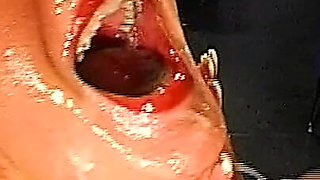 John Thompson: Bea Cum Babe