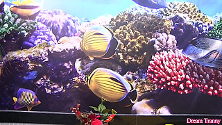 Trans Hottie Marcelle Herrera Takes a Jumbo Sized Dildo