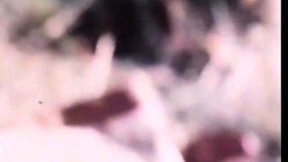 Hot amateur close up Doggy style HD video