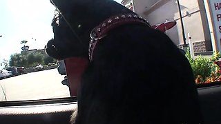 Check out this busty slut fucking