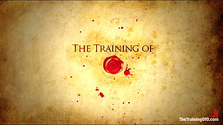 Training Dylan-day 5 Live Show-final Test