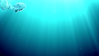 Slender swimmer Alla Zlatavlaska shows a great underwater show