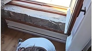 Horny Teacher Gives Her Students Dad A Quick Blowjob During A Field Trip