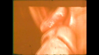 The Madness of My Vagina