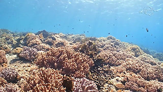 California Adventure - Lisi Parisi