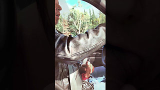 Auto stopper