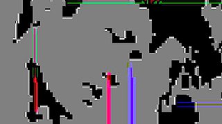 Asian japanese amateur