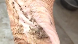 Blonde emo amateur solo masturbation